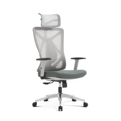 Hot Sales Swivel Office Furniture Plastic Home Desk Ergonomic Executive Chair (2216 Series)