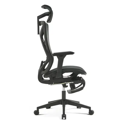 Hot Sales Swivel Office Furniture Plastic Home Desk Ergonomic Executive Chair with Footrest (2216 Series) view 4