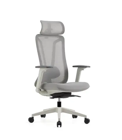 Modern Design Office Chair Ergonomic Executive Manager Chair (41 Series) - Light Grey Mesh