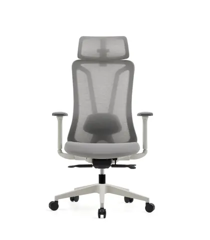 Modern Design Office Chair Ergonomic Executive Manager Chair (41 Series) - Light Grey Mesh view 2