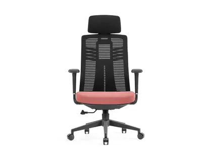 Office Furniture Ergonomic Mesh Desk Chairs Manager Task Work Chair (2323 Series) view 3