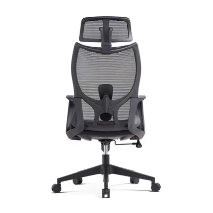 Wholesale Adjustable Hot Sale Modern Swivel Mesh Furniture Office Ergonomic Computer Chair Executive Chair (2215 Series) view 3