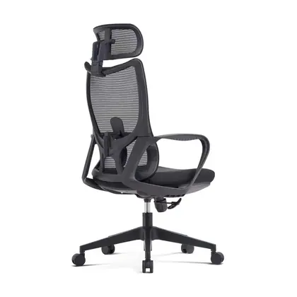 Wholesale Adjustable Hot Sale Modern Swivel Mesh Furniture Office Ergonomic Computer Chair Executive Chair (2215 Series) view 2