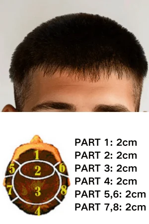 0.04MM thin skin men's hair piece with buzz cut hairstyle shown from above, front hairline visible