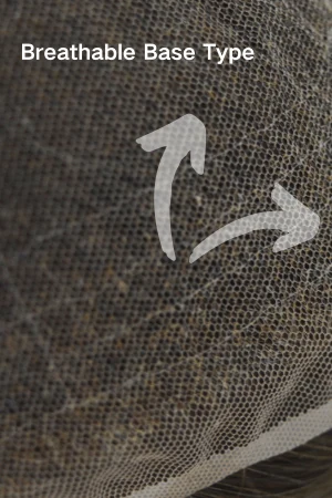 AFL: French Lace Hair System shown on a display head