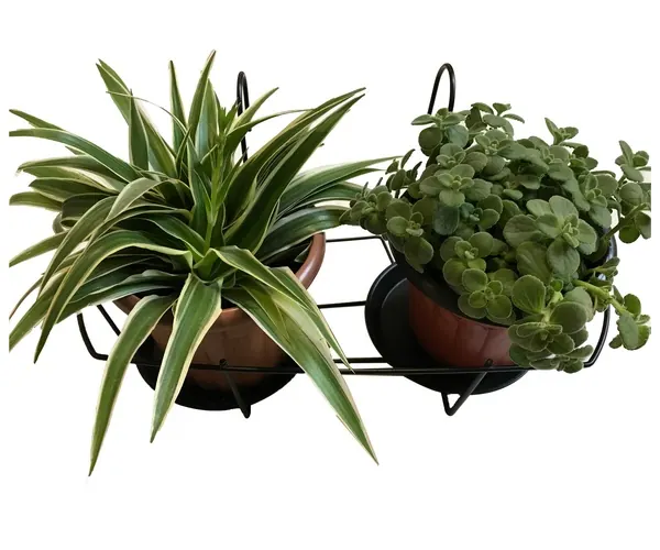 Flower Pot Holder HHAIR03