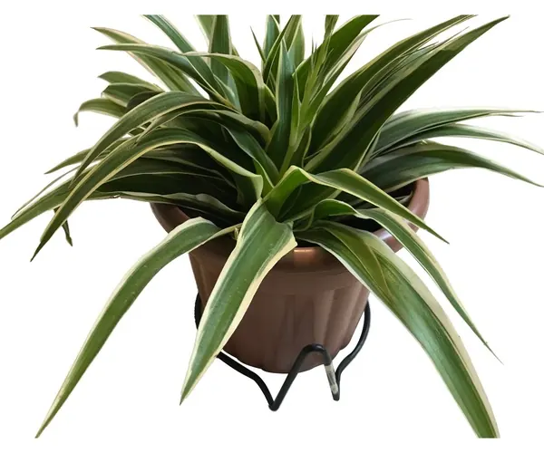 Flower Pot Holder HHAIR04