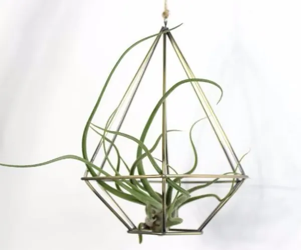 Air Plant Rack Holder Planter HHAP06