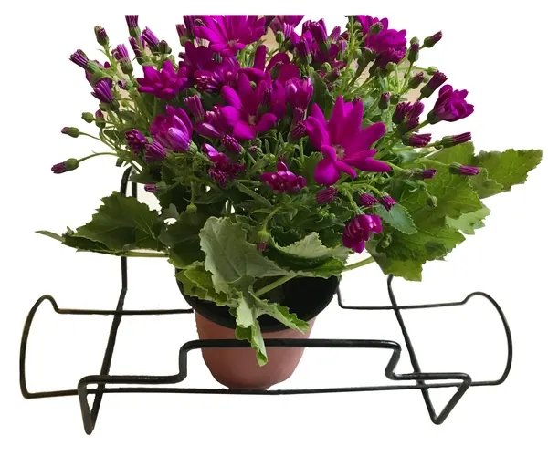 Flower Pot Holder