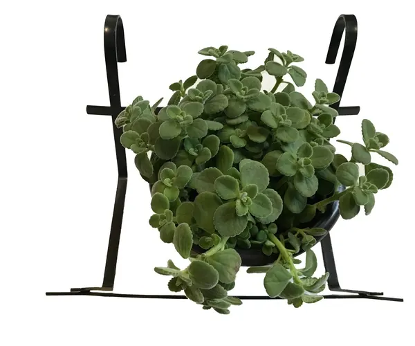 Flower Pot Holder