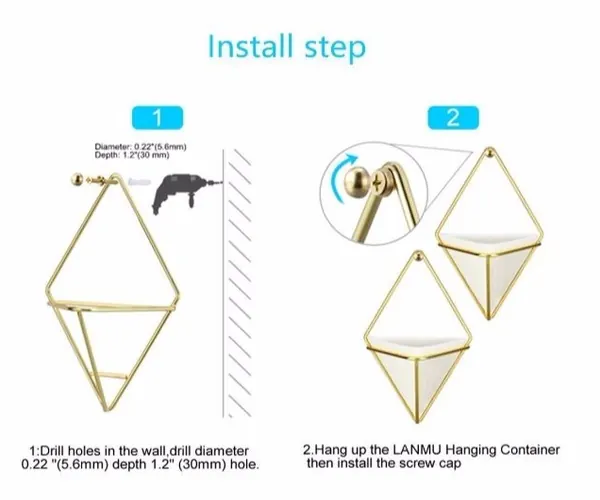 Air Plant Holder