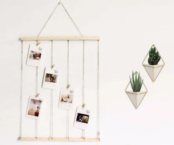 Air Plant Holder