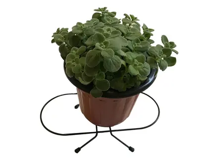 Flower Pot Holder HHAIR02
