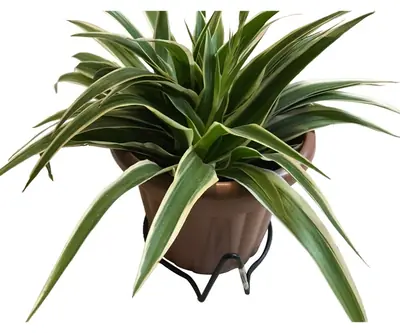 Flower Pot Holder HHAIR04