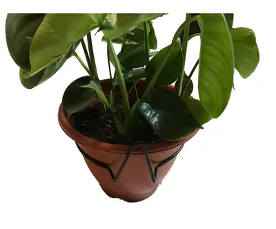 Flower Pot Holder view 3
