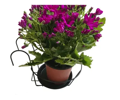 Flower Pot Holder view 2