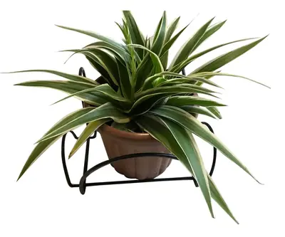 Flower Pot Holder HHAIS06
