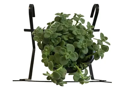 Flower Pot Holder HHAIS08