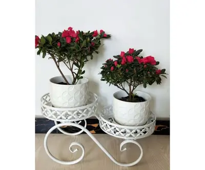 Plant-Flower-Pot-Stand view 3