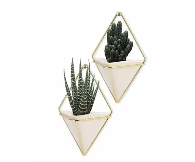 Air Plant Holder HHAP02
