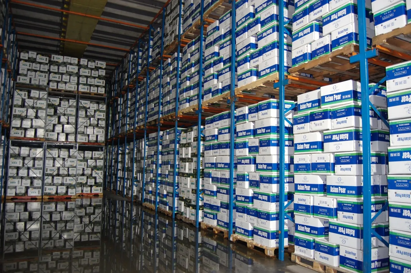 Storage And Export Volume