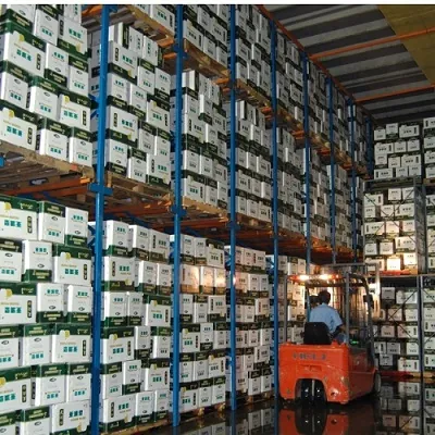 Cold store stacked with export cartons