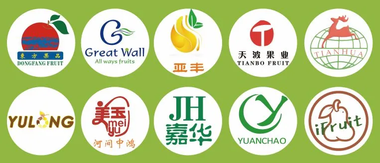Brand marks of the Choice Fruit Alliance member enterprises