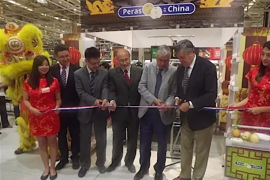 Hebei Fresh Pears Shine in Chile