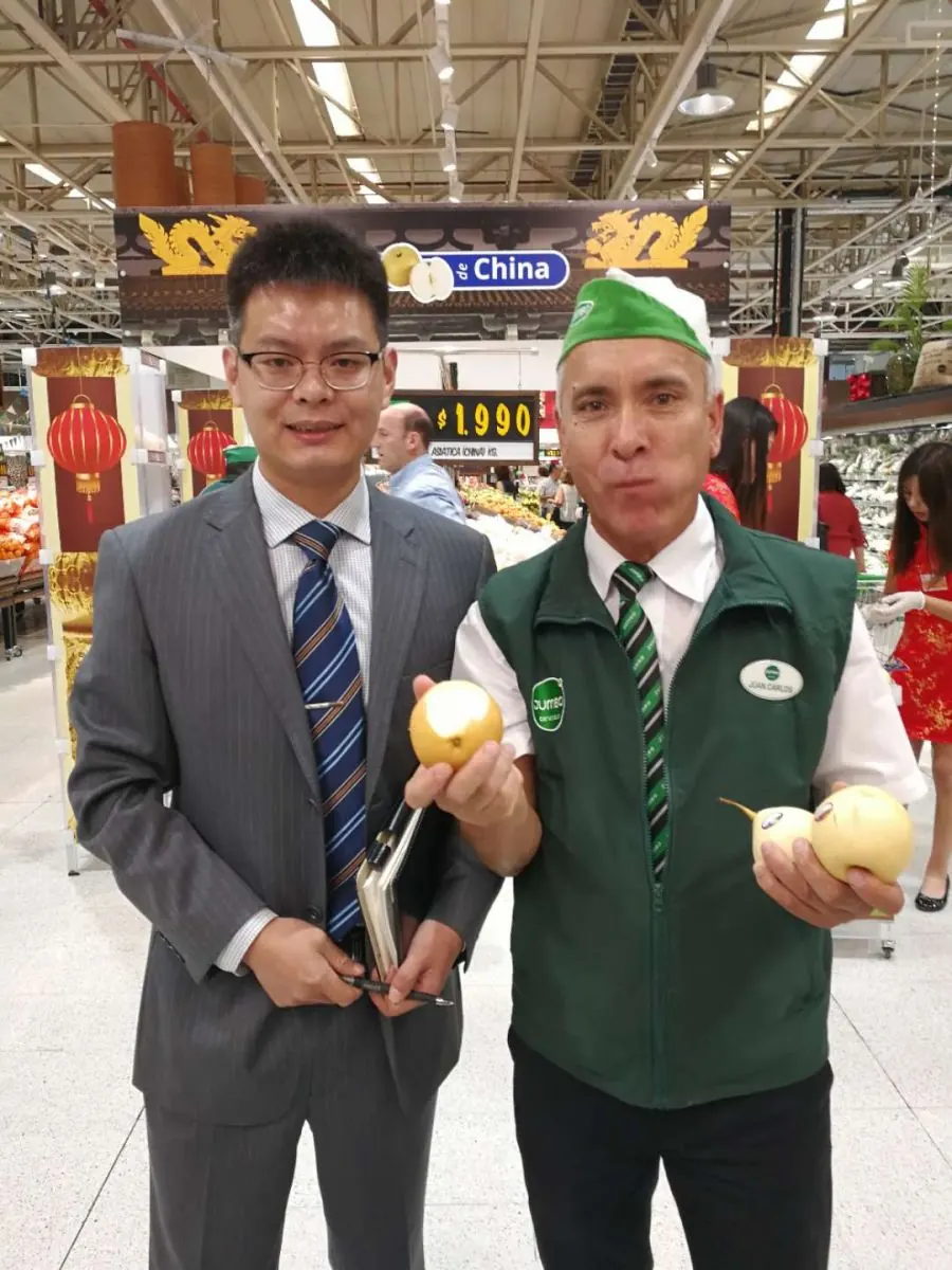 Hebei Fresh Pears Shine in Chile
