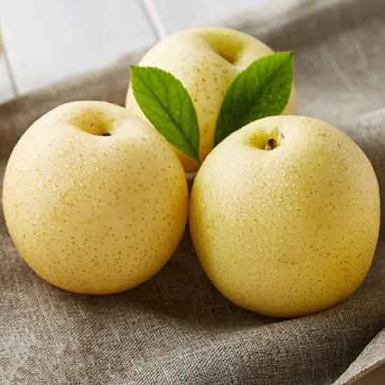 Huangjin Pear 黄金梨
