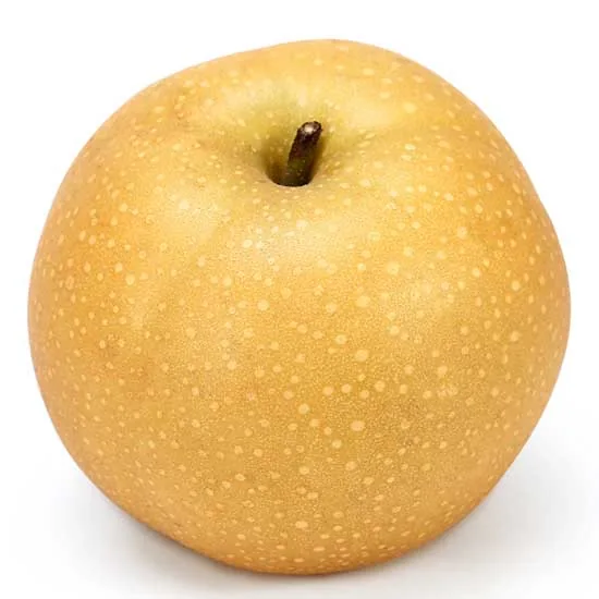 Russet Pear 褐皮梨