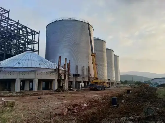 Silo roofs with conical geometry, access ladders and guard rings seen from above the battery