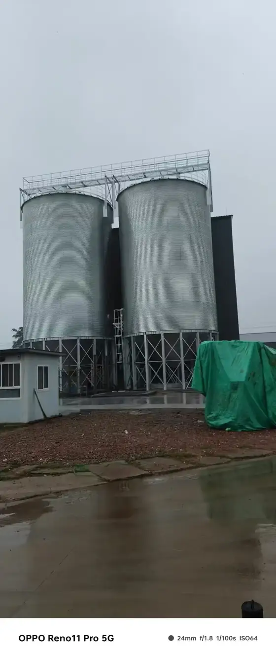 Group of feed storage granaries installed on a prepared concrete base