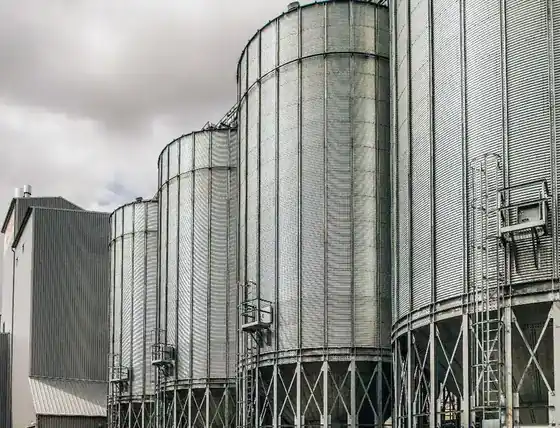 Grain silo shell with external ladder and inspection platform