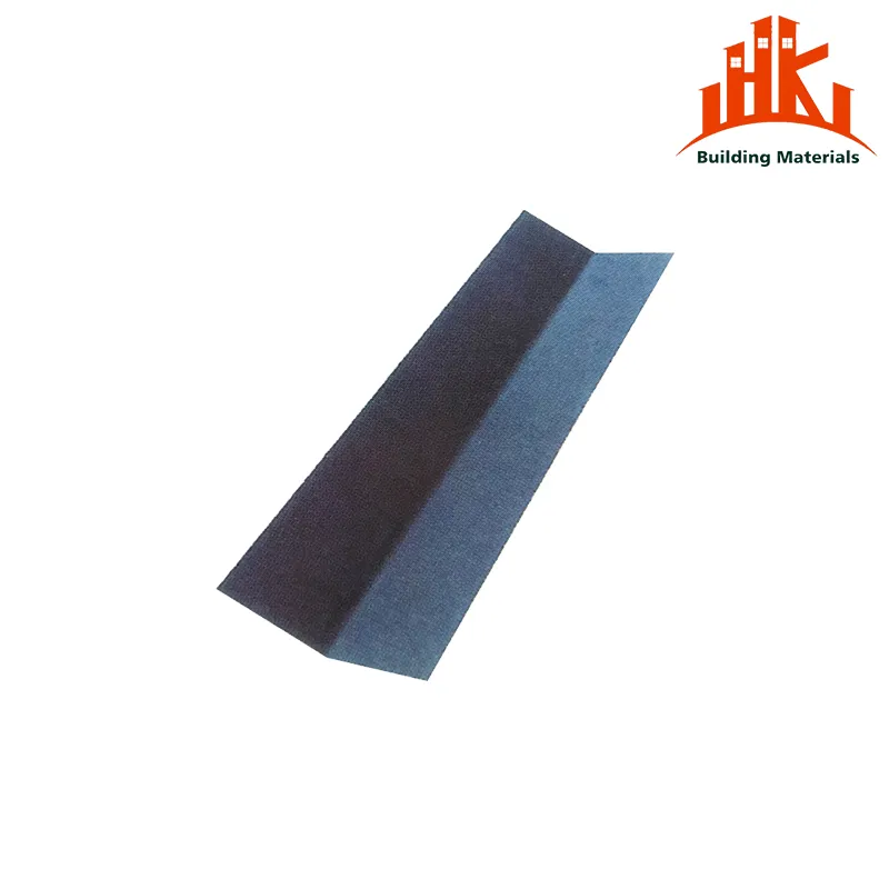 Guide plate (accessories) abs roof
