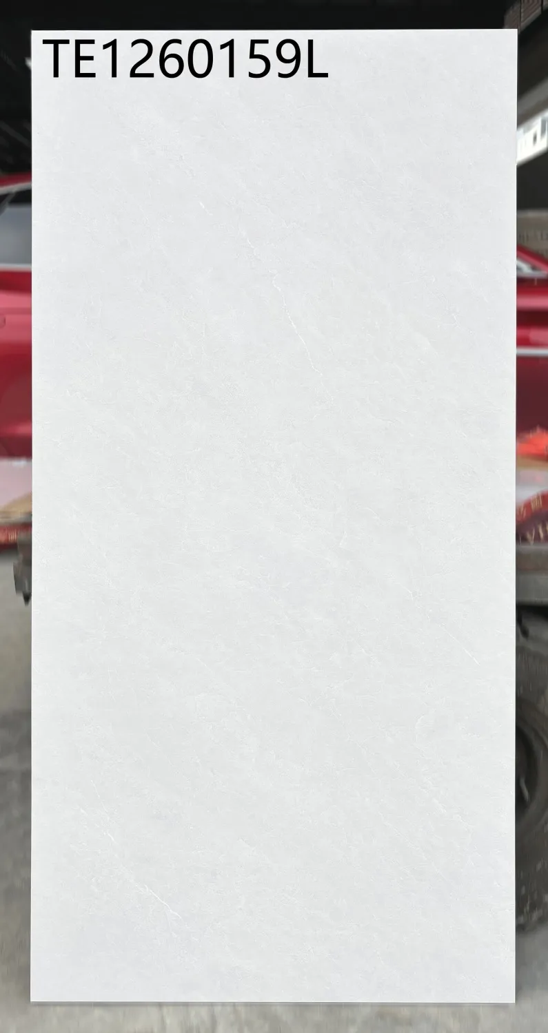 JLS-TE1260159L 600 x 1200 mm matt finish 600*1200