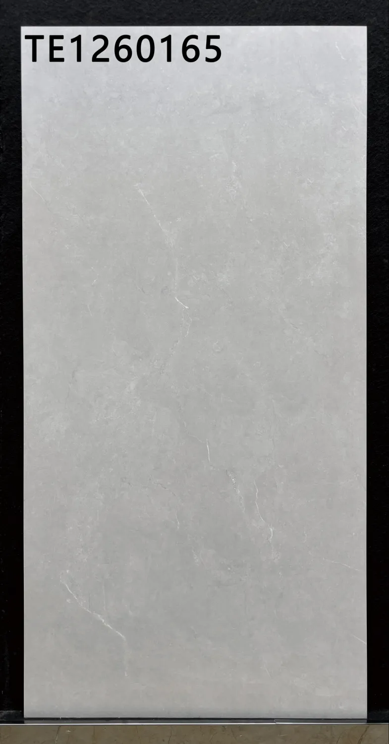 JLS-TE1260165 600 x 1200 mm matt finish 600*1200