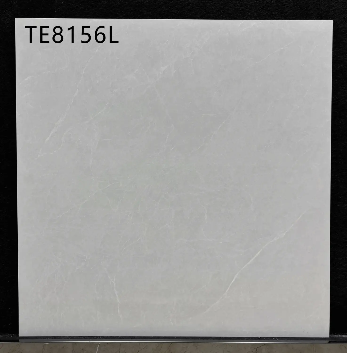 JLS-TE8156L 800 x 800 mm matt finish 800*800