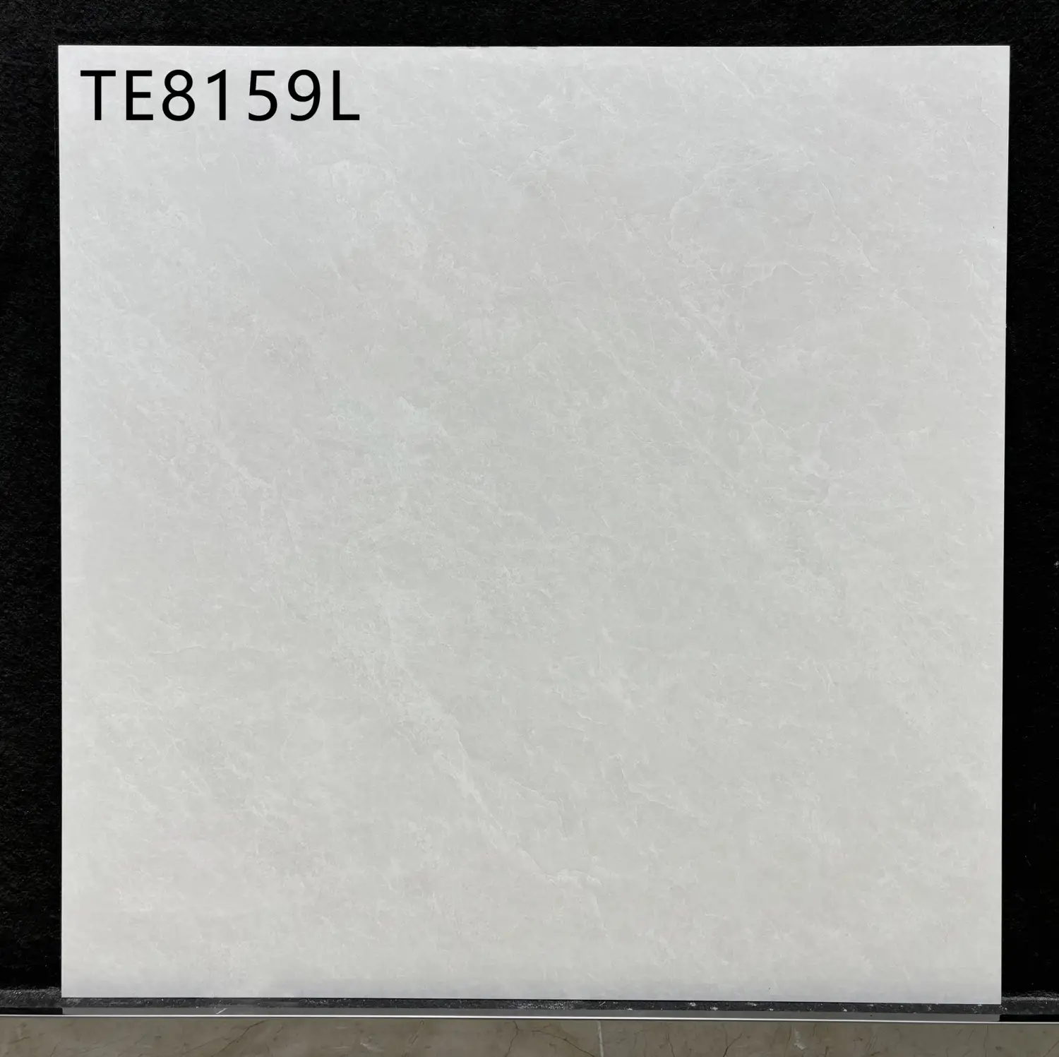 Square sample of light gray porcelain tile with subtle stone texture and code TE8159L.