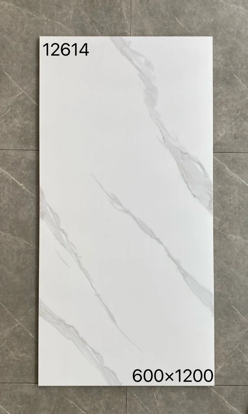 XM-12614 600 x 1200 mm matt finish 600*1200
