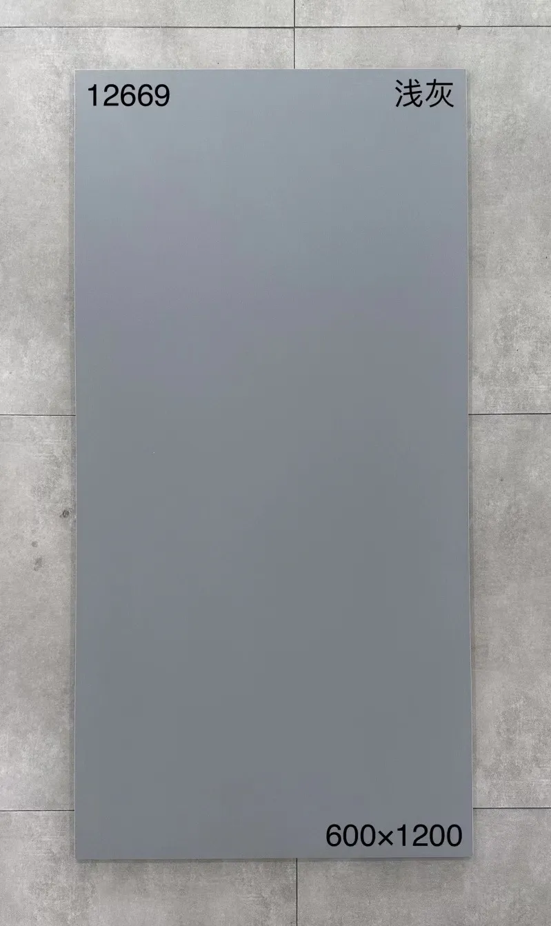 XM-12669 600 x 1200 mm matt finish 600*1200