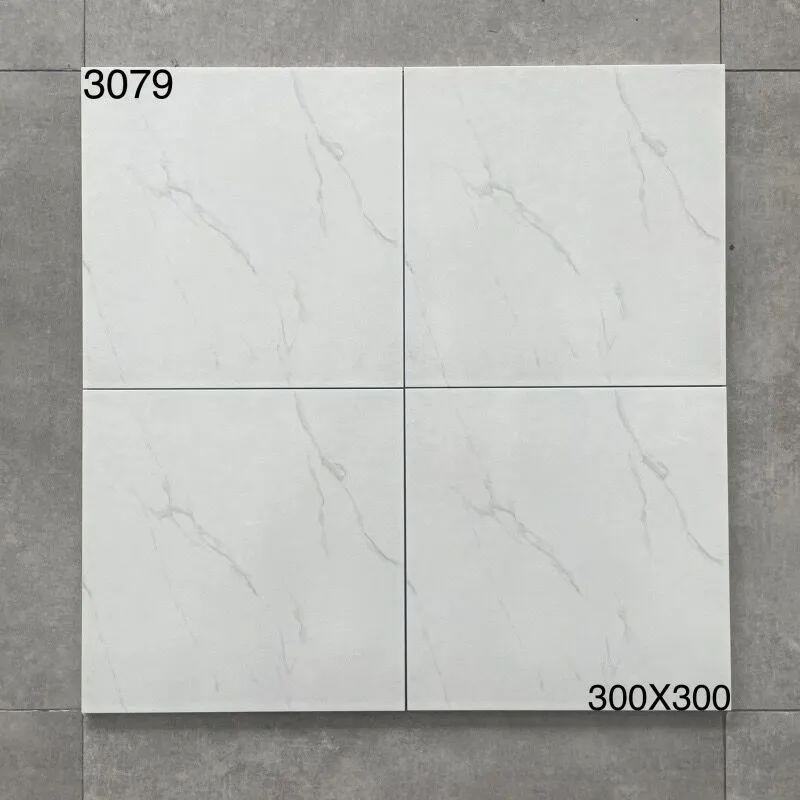 XM-3079 300 x 300 mm matt finish 300*300