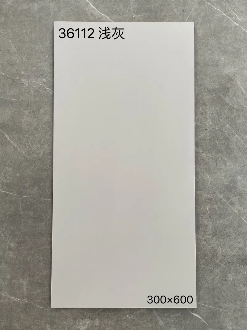 XM-36112 300 x 600 mm matt finish 300*600