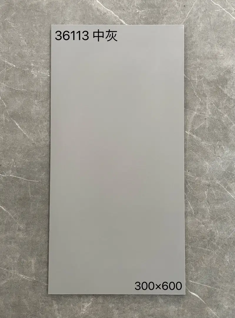 XM-36113 300 x 600 mm matt finish 300*600