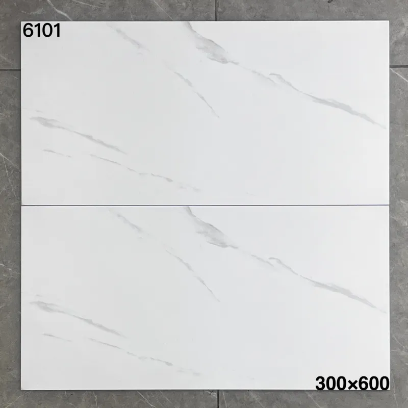 XM-6101 300 x 600 mm matt finish 300*600