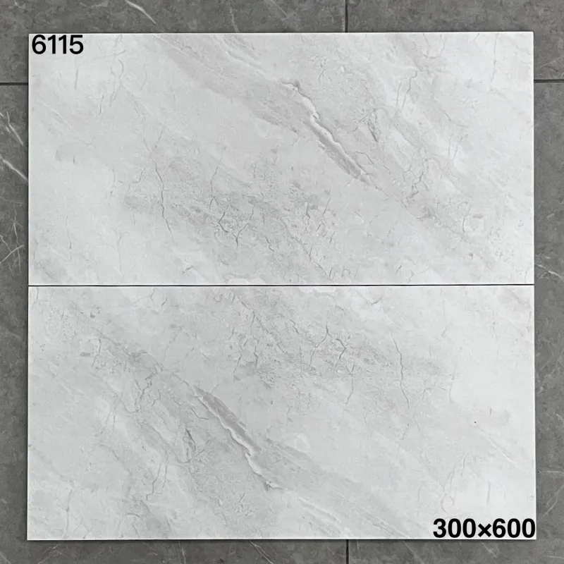 XM-6115 300 x 600 mm matt finish 300*600
