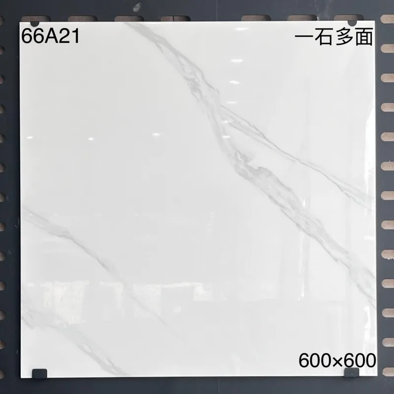 XM-66A21 600 x 600 mm glossy finish 600*600