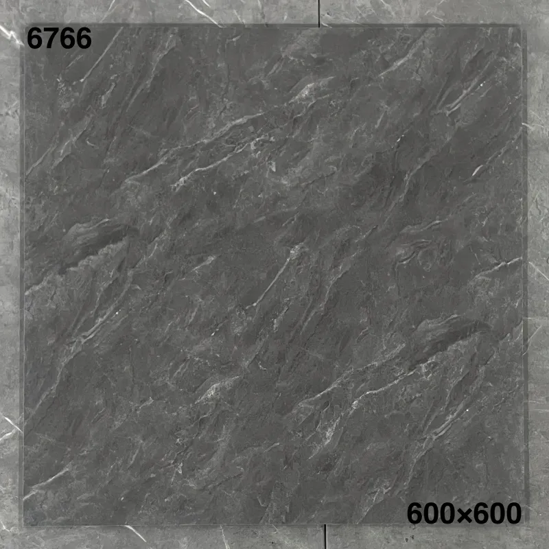 XM-6766 600 x 600 mm matt finish 600*600