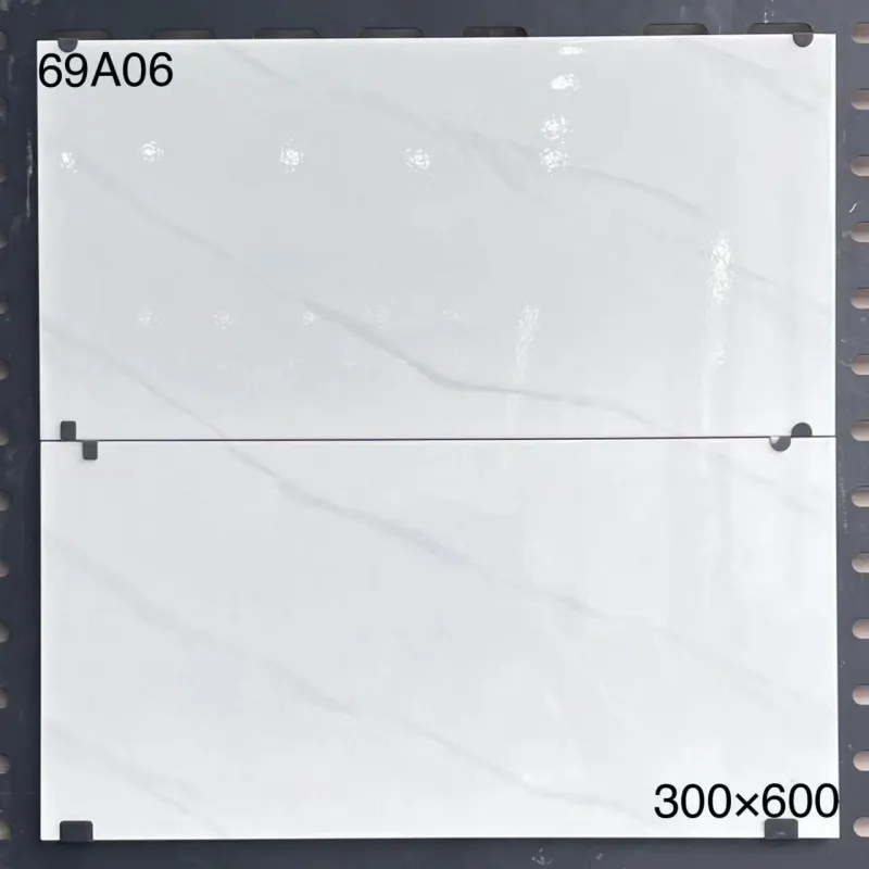 XM-69A06 300 x 600 mm glossy finish 300*600