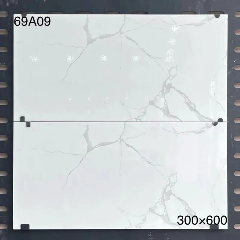 XM-69A09 300 x 600 mm glossy finish 300*600
